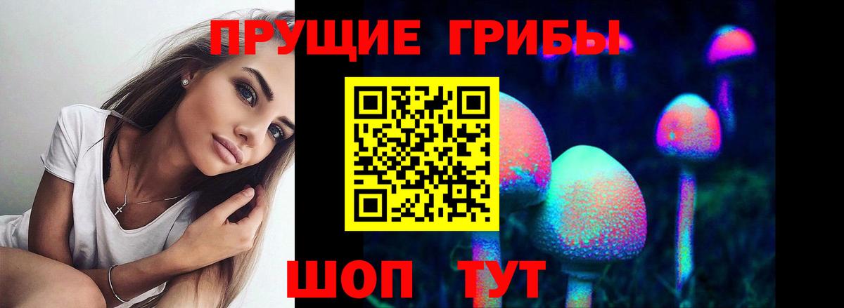 наркошоп  Псилоцибиновые грибы Psilocybe  Вход с VPN  Галлюциногенные грибы мухоморы  Егорьевск 